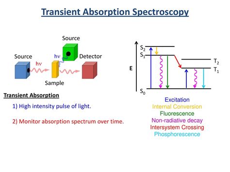 transient absorption spectroscopy 원리
